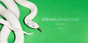 nu metal deftones album